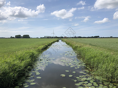 兰坦布尔在荷兰弗里斯兰的运河与树苗小路风景运河反射绿色背景