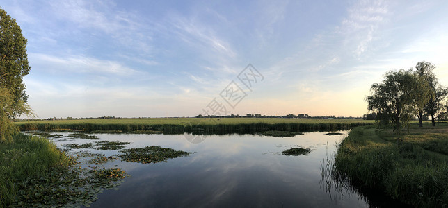 弗里斯兰Sneek附近湖边的全景农田绿色反射农场草原背景