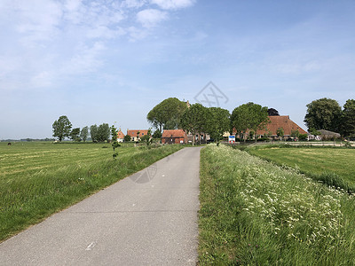 弗里斯兰村房子农田教会背景图片