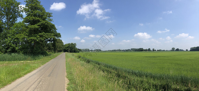 格拉姆斯贝根周围的农场天空绿色全景高清图片