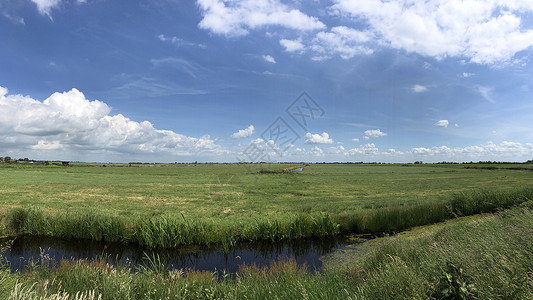 弗里斯兰全景景观绿色运河反射高清图片