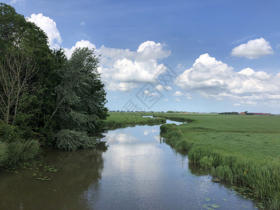 弗里斯兰运河农田绿色高清图片