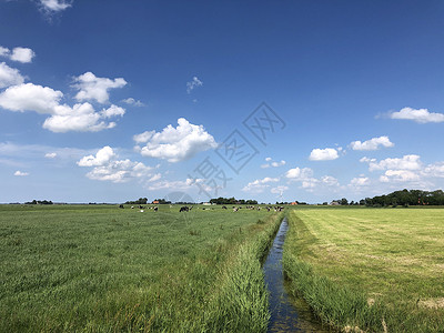 瓦克森周围的农田绿色运河草原高清图片