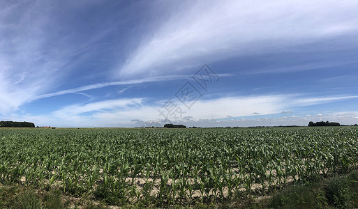 圣雅各布巴罗基附近的农田圣雅全景天空食物高清图片