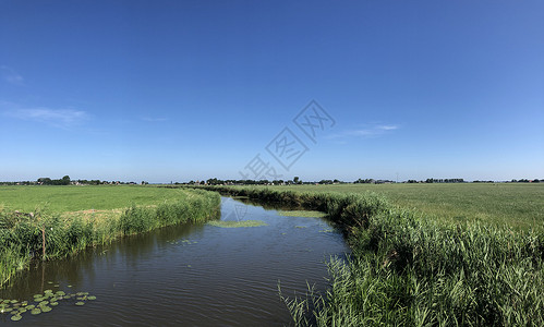 科雷德在弗里斯兰的周围绿色全景农田风景背景