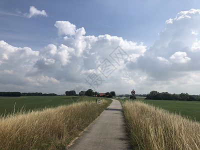 奥尔堡周围的景观农场农田背景