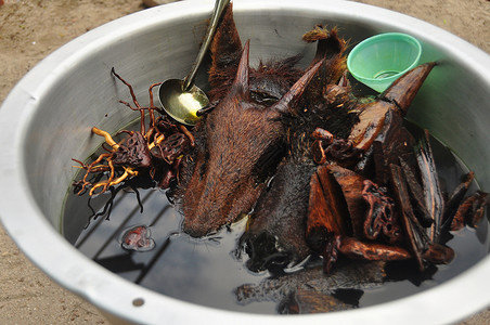 碗里装满动物头和药草 用来治疗泰国传统医药 这是东方国家的特殊传统医学 (笑声)背景图片