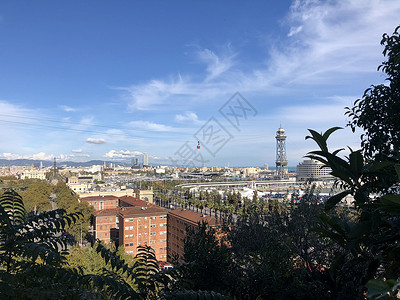 贝尔蒙特港湾航空轨迹植物风景森林公园树木缆车旅行全景电车天空背景