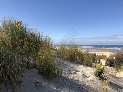 波尔库姆的沙丘和海滩高清图片