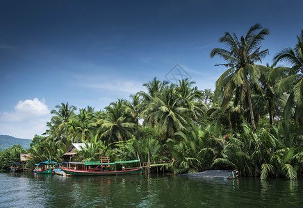 热带河坎波迪亚塔塔伊河码头传统丛林船荒野风景棕榈运输渡船晴天绿色乡村热带背景