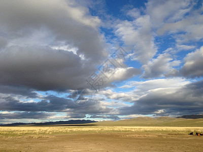 蒙古地貌景观游牧民族奶牛爬坡背景图片