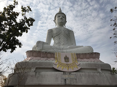 大佛祖雕像天空建筑学高棉语森林寺庙宗教公园背景图片