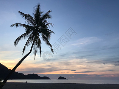 长叶型热带棕树棕树和日落夫妻旅行海洋太阳假期棕榈蓝色天空天堂热带背景