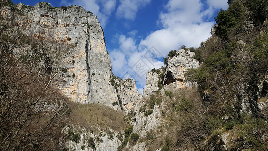 维科斯峡谷森林爬坡背景