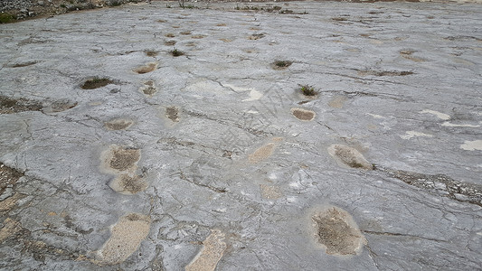 恐龙足迹脚印历史岩石地面打印背景图片