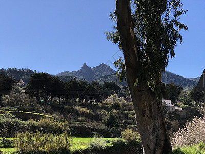 山区地貌爬坡场地森林绿色背景图片