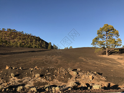 德黑兰国家公园森林顶峰火山太阳岩石月亮蓝天高清图片