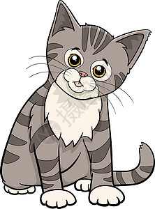 花灰色土猫可爱的虎斑猫或小猫卡通动物特征吉祥物虎斑漫画灰色卡通片爪子宠物尾巴绘画插图插画