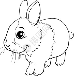 卡通侏儒兔动物角色着色书 pag宠物家兔绘画插图婴儿吉祥物尾巴彩书卡通片动物背景图片