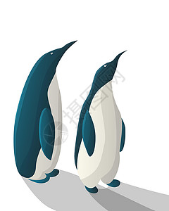 水族馆企鹅企鹅海洋生物野生动物海洋卡通片艺术水族馆图像荒野动物动物园插画