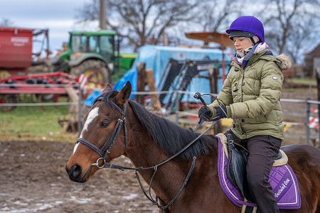 马术场骑马在村里的农庄场良种场地动物农村森林牧场骑士运动娱乐骑术背景