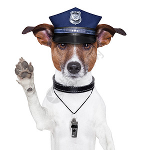 牵着警犬警察警犬控制警察徽章安全逮捕警告警卫危险犯罪情况背景