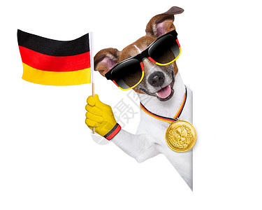 德国冠军德国足球犬玩家旗帜火车运动团队金子分数优胜者勋章宠物背景