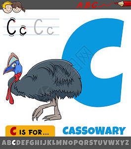 字母表中的字母 C 与卡通食火鸡 bir设计图片