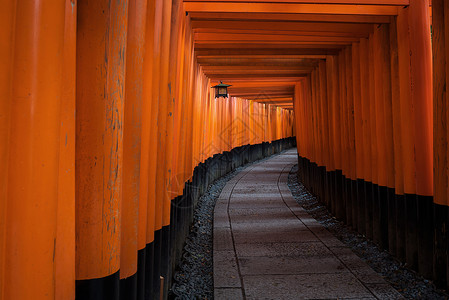 红色隧道在日本京都旅游者吸引地标之一神庙的红色托里门路道遗产文化小路入口旅行游客竹子寺庙旅游人行道背景