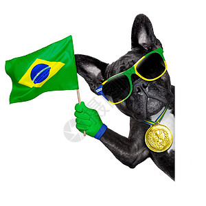 巴西獒犬旗帜运动高清图片