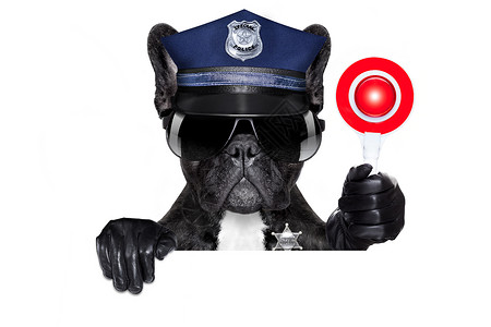 牵着警犬警察有停车标志的警犬危险哈巴狗拳击手逮捕玻璃警察插图帽子侦探斗牛犬背景