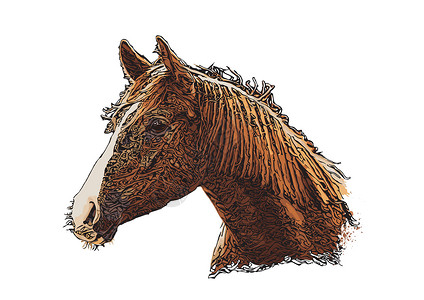 马头矢量图棕色马头高清图片