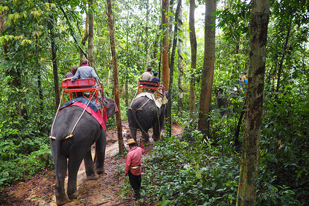泰国骑大象的观光游客背景图片