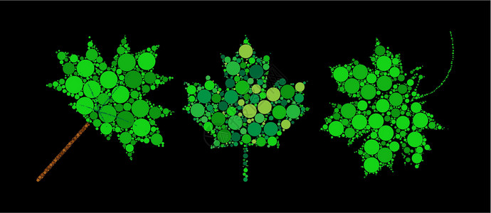 抽象的绿色枫叶 用点做的春天树叶 装饰点缀加拿大符号集 非常适合优雅和装饰性的贺卡或庆祝卡 在黑色上隔离的矢量图插画