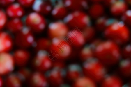 脱离焦点 背景模糊 红酸黑莓脱离了焦点背景图片