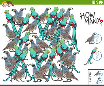 鹌鹑皮蛋计算绿咬鹃和鹌鹑鸟的孩子教育任务插画