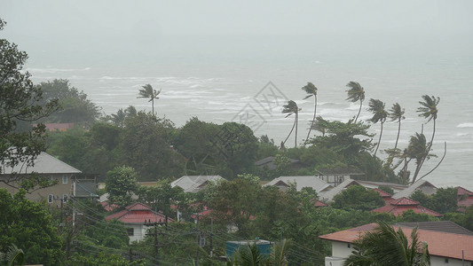 海洋粒子雨帕布台风 海洋海岸 泰国 自然灾害 眼墙飓风 强烈的极端气旋风摇曳着棕榈树 热带洪水雨季 强热带风暴天气 雷暴气旋气象海岸线灾难背景