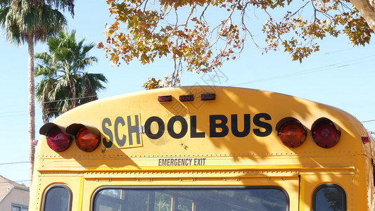 美国加利福尼亚州洛杉矶的黄色标志性校车 学生后视的经典卡车 儿童交通安全的车辆红绿灯 郊区儿童公共客运学者服务学习大学调查童年邻图片