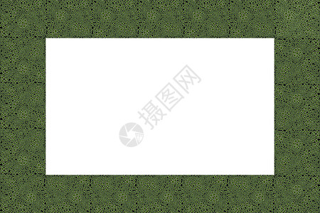 五颜六色的框架 方形图案 与动物装饰品的绿色装饰边框 豹皮 复制空间 时尚板 卡片 海报 横幅的模板设计 矢量图背景图片
