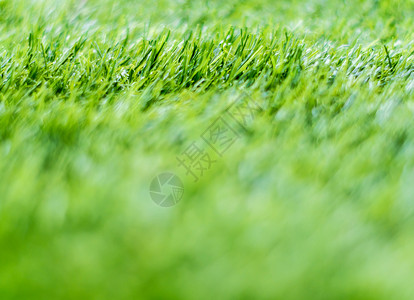 浅景深校园塑料人造草的质地闲暇草皮绿色颗粒娱乐地面草地足球操场天文背景图片