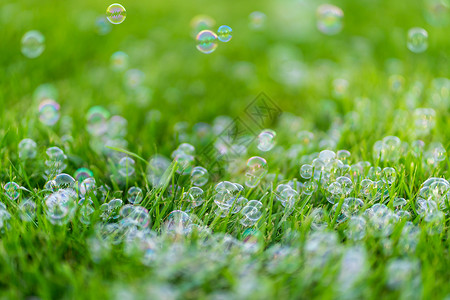 肥皂泡透明绿草地上有肥皂泡 暑假的乐趣背景