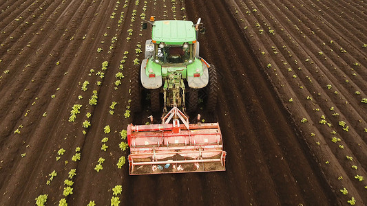 拖拉机耕种田地栽培耕地场地修炼者土豆车辆农田培育机械国家背景图片