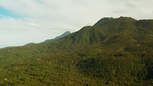 棉兰老岛棕榈树顶峰高清图片