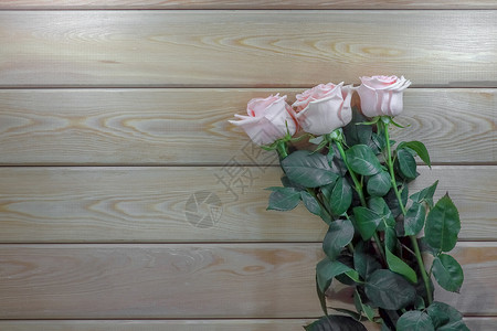 木制背景隔板上的粉红玫瑰花朵白色植物桌子粉色绿色婚礼玫瑰花瓶红色背景图片