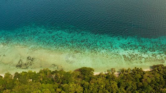 银湖带椰子树和绿宝石环礁湖的景观旅游旅行支撑海水假期天蓝色海景阳光树木风景背景