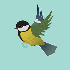 黄色肩膀黑鸟飞翔的大山雀插画