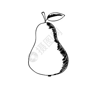 冻秋梨白色背景梨的轮廓图 秋夏可爱的水果 食物的概念 邀请函 海报 卡片的矢量打印 孤立的图标插画