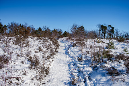 安顺屯堡荷兰霍尔特堡附近霍特堡的景观山丘自然保护区蓝色农村环境地毯地平线季节日光娱乐爬坡背景