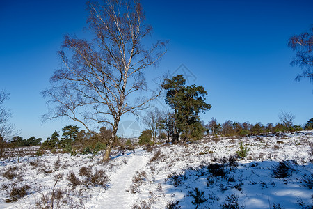 安顺屯堡荷兰霍尔特堡附近霍特堡的景观山丘自然保护区蓝色爬坡日光地平线地毯环境公园娱乐农村背景