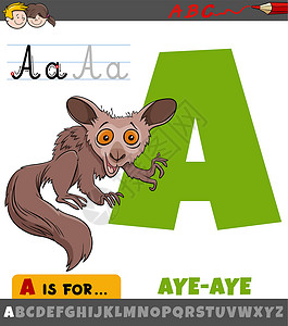美国红松鼠带有卡通动物特征的字母表中的字母 A设计图片